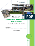 proyectosambientalesejecutados20122-130814120717-phpapp02.pdf