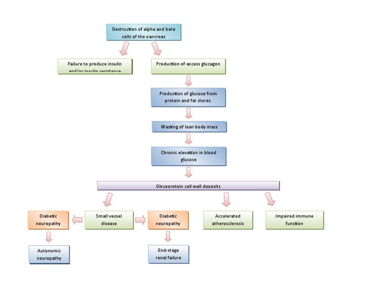 Pathophysiology of Diabetes Complications | PDF