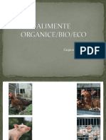 Alimente Organice