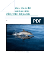 Los Delfines