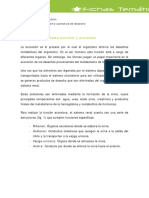 sistema_excretor 3.pdf