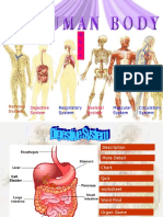 the body.ppt