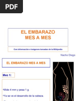 El Embarazo Mes A Mes