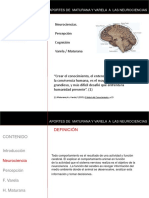 Neurocienciasaportesdevarelaymaturana 090917112912 Phpapp02