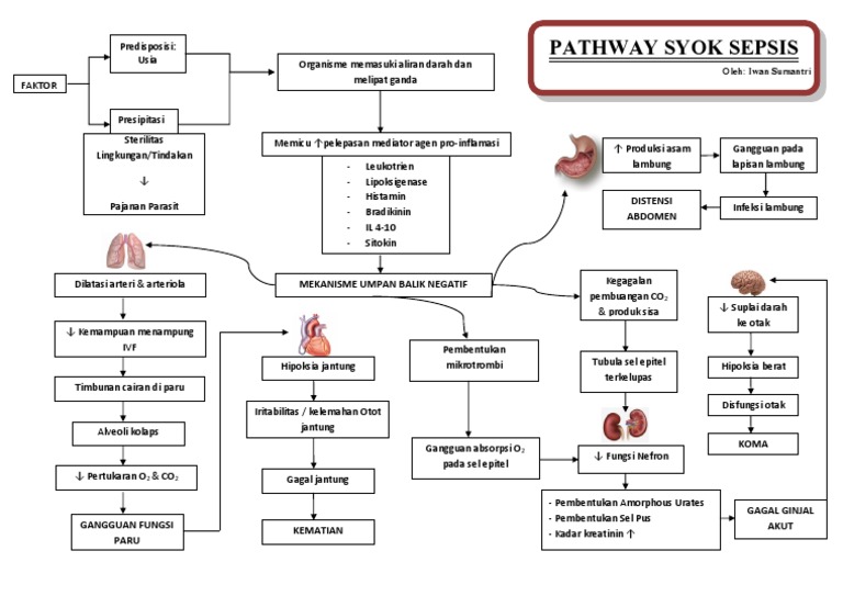 Pathway dan Patofisiologi Syok Sepsis | PDF