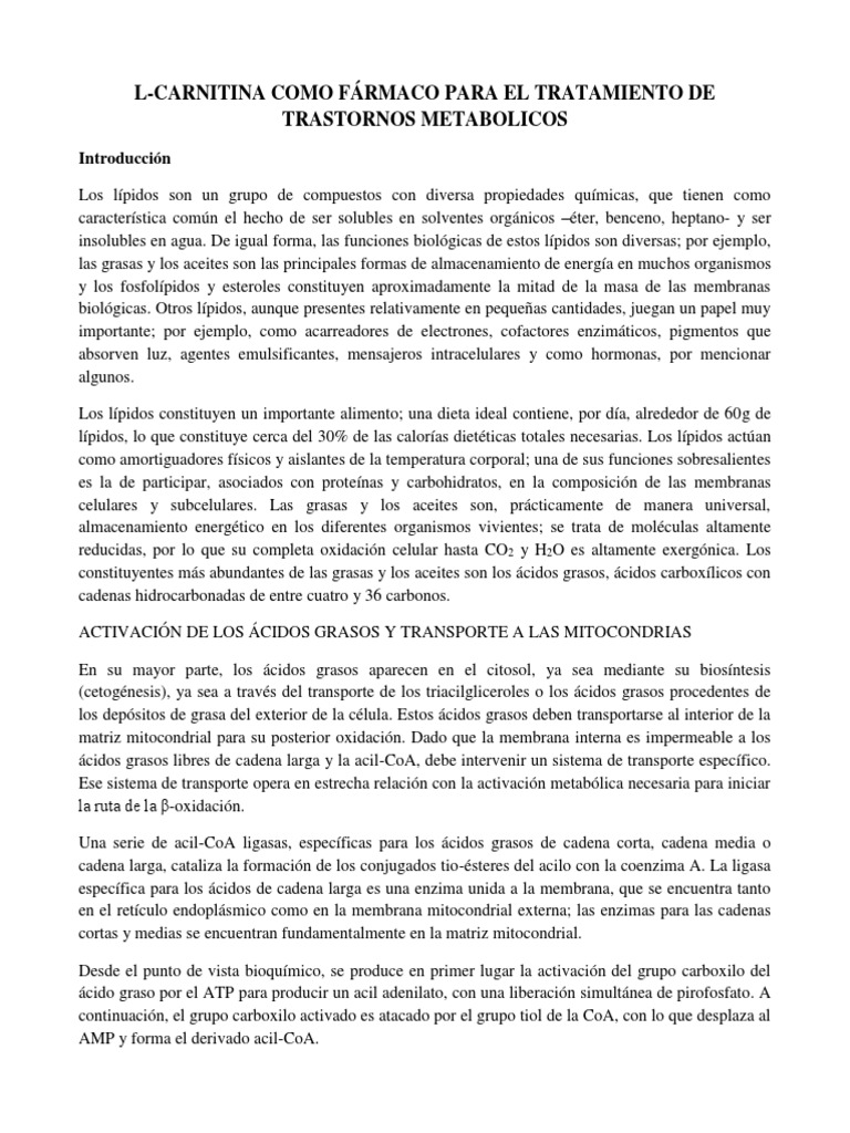 l carnitina para que sirve pdf L-carnitina: qu es y qu  L-Carnitina 1000 mg |