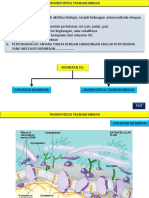 Transpor Transmembran