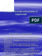tema 1_Relatia eficienta-eficacitate +«n organizatii