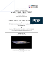 RAPPORT DE STAGE L3 (Aurélien FAVRE)