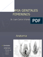 Anatomia Genitales Femeninos