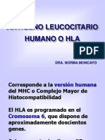 Antígeno Leucocitario Humano o Hla