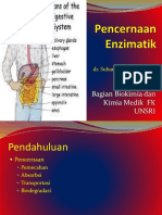 IT 23 - Pencernaan Enzimatik II - SUB.pptx