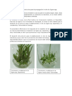 Desarrollo de Protocolos para La Propagación