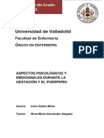 Aspectos Psicológicos y Emocionales Durante La Gestación y El Puerperio