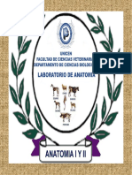 RADIOLOGIA DIAGNOSTICO.pdf