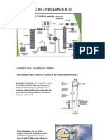 Partes de La Planta de Amina