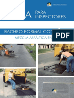 Guia Bacheo