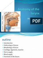 Anatomy of Larynx