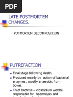 5) Late Postmortem Changes