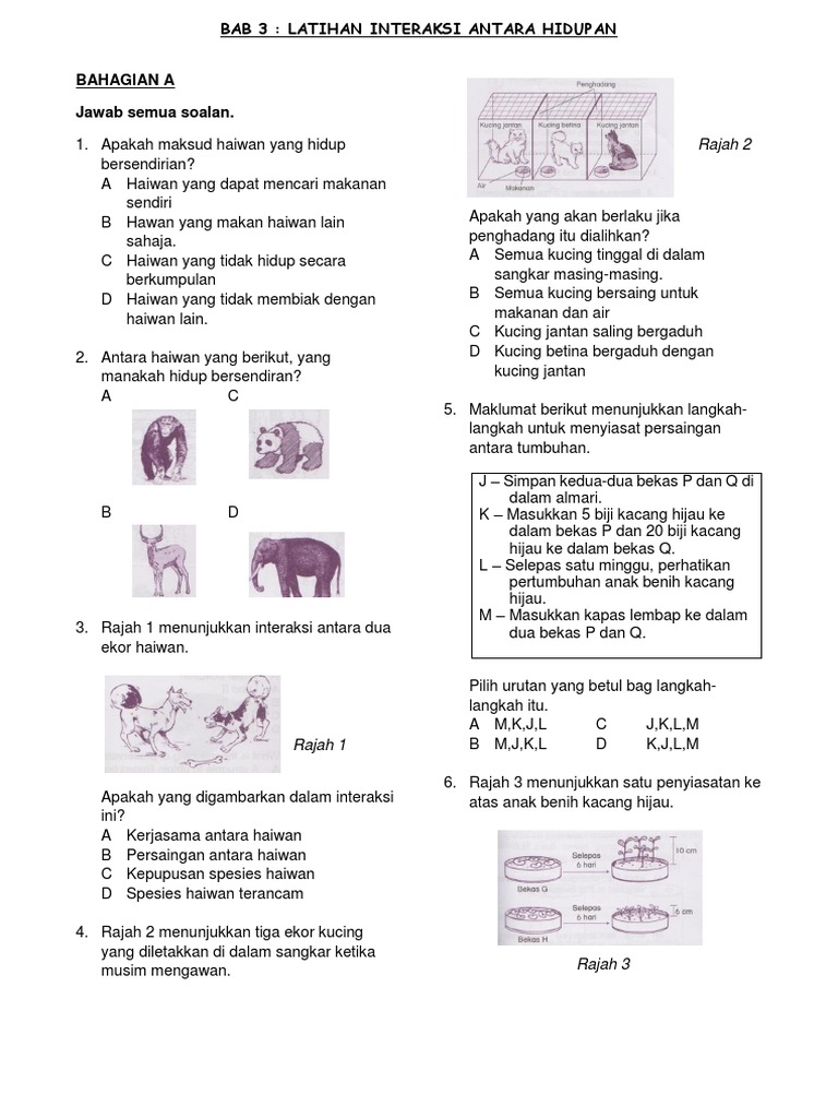 Interaksi Antara Hidupan Pdf