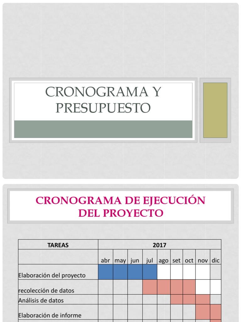 Cronograma y Presupuesto | PDF