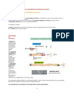 Les Micro Filaments