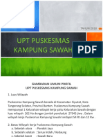 Upt Puskesmas Kampung Sawah