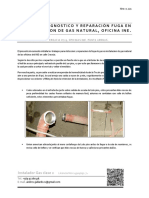 DIAGNOSTICO Y REPARACION DE FUGA DE GAS INE PUNTA ARENAS.pdf