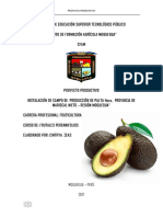 Plan de Negocios Palta Ultimo