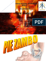 Pie Zambo