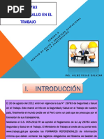 LEY 29873