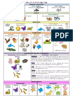 Classificação e importância dos animais