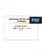 Anatomie 3D Du Système Limbique PDF