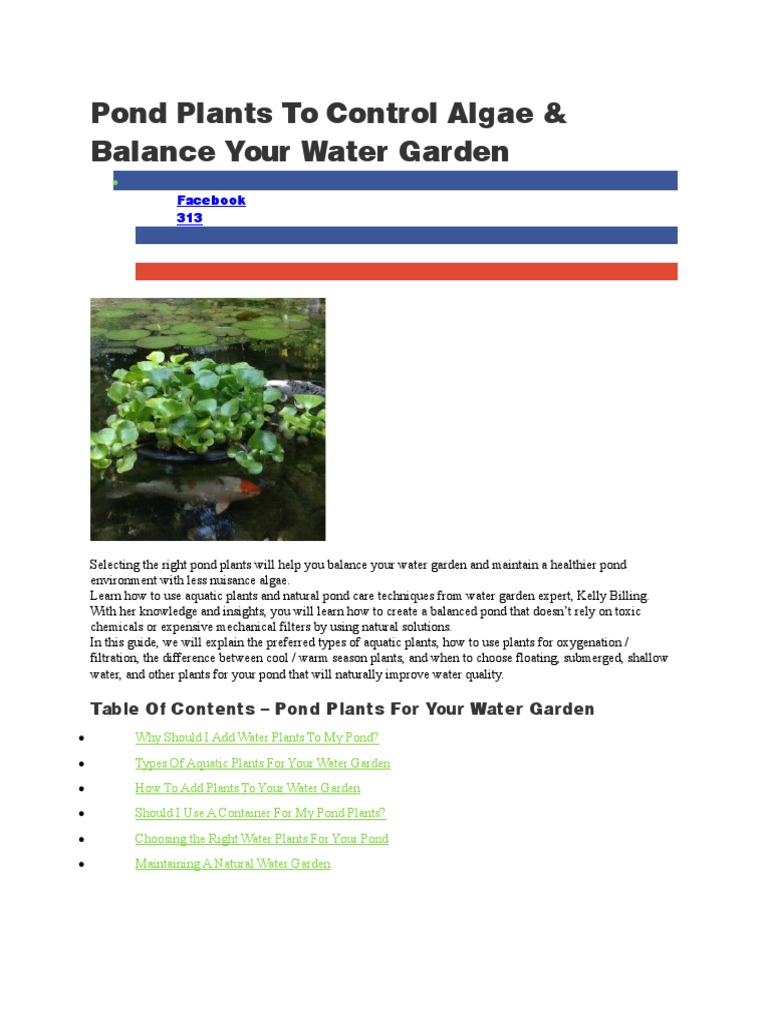 Pond Plants To Control Algae & Balance Your Water Garden Facebook 313