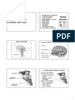 Anatomie Fonctionnelle Du Système Nerveux PDF