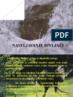 7-Naseljavanje Divljaci