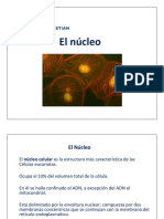 Clase 12 - Nucleo