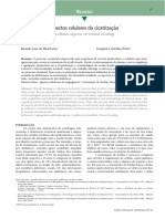 2.6 - Artigo de Mecanismo de Reparo Tecidual PDF