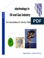 NANOTECNOLOGÍA EN INDUST GAS Y ACEITE.pdf