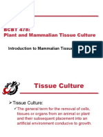 BCBT 478 Introduction To Mammalian Cell Culture 2009