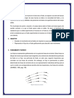 Informe de Cinematica de Fluido