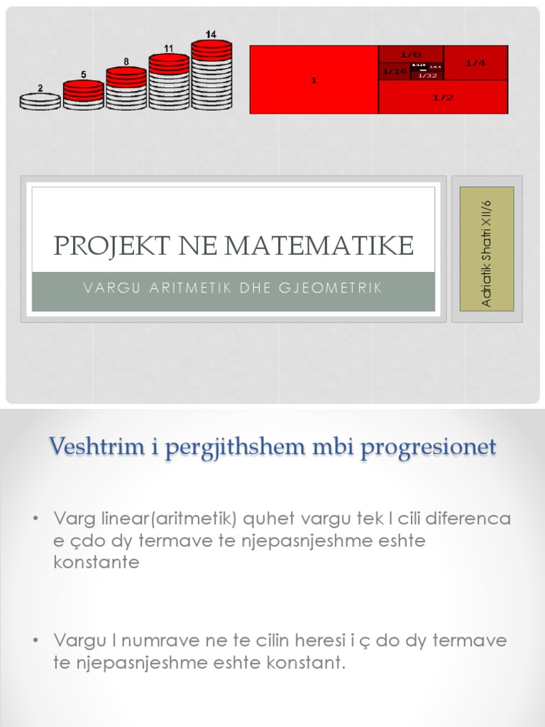 Projekt Ne Matematike | PDF