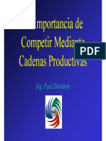 La Importancia de Cadenas Productivas PDF