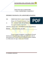 II Informe Determinacion de Cenizas 2014