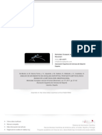 Analisis de Movimientos en La Escalada Deportiva