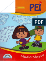 PEI Medio Mayor Completo PDF