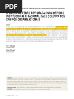 A gaiola de ferro revisitada