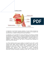 Fisiología de Deglucion Ufro