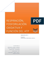 Respiración, Fosforilación Oxidativa Y Función Del Atp
