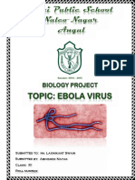 259141049-biology-ebola-virus-project-report.pdf